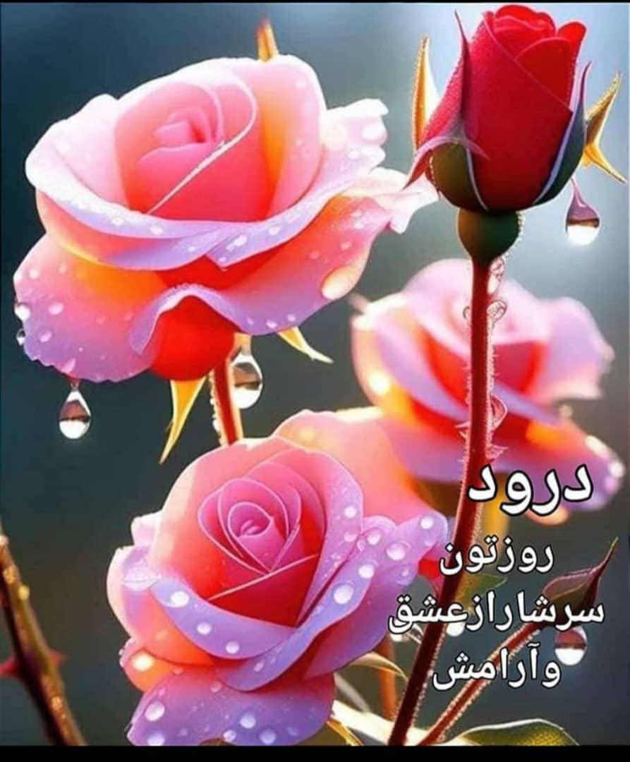 سینک ظرفشویی