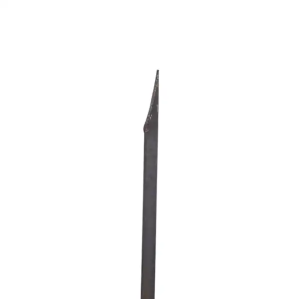 دیلم