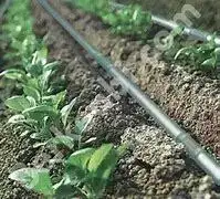 سیستم آبیاری تحت فشار