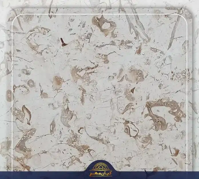 سنگ مرمریت پرطاووسی یزد