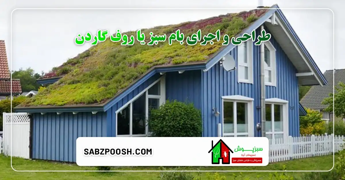 طراحی و اجرای روف گاردن یا بام سبز