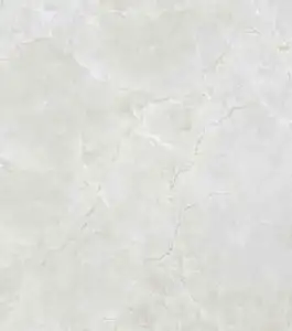 پرسلان امین میبد | مدل نهال