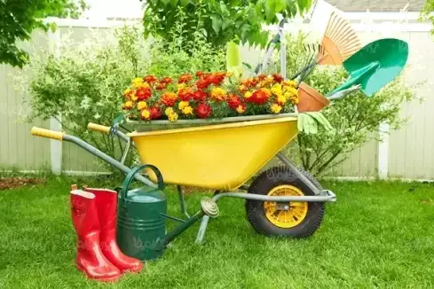 خدمات نگهداری فضای سبز