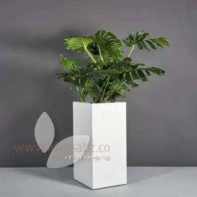 فلاور باکس چهار ضلعی پایه بلند