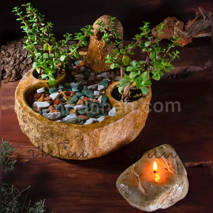 آبنما رومیزی کوچک کد AB553 همراه با گیاه کراسولا خرفه ای