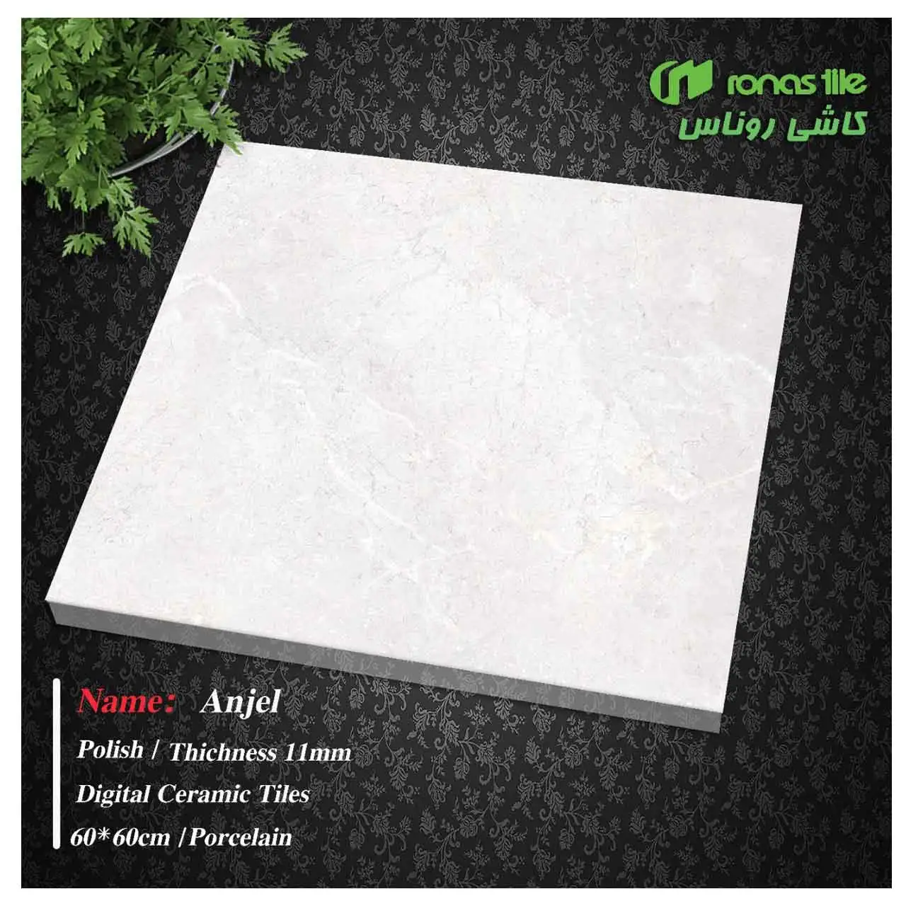 سرامیک آنجل مات 60×60