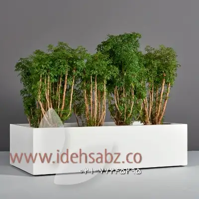 فلاور باکس مستطیلی کم عمق